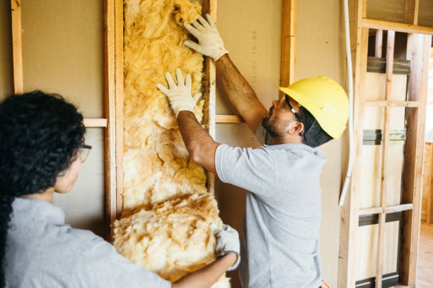 Best Attic Insulation Installation  in Perry Heights, OH